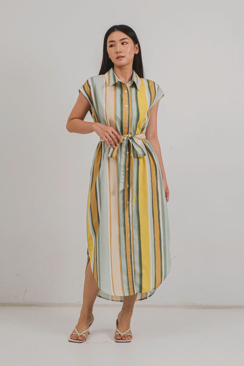 Mimosa Shirt Dress in Jaune