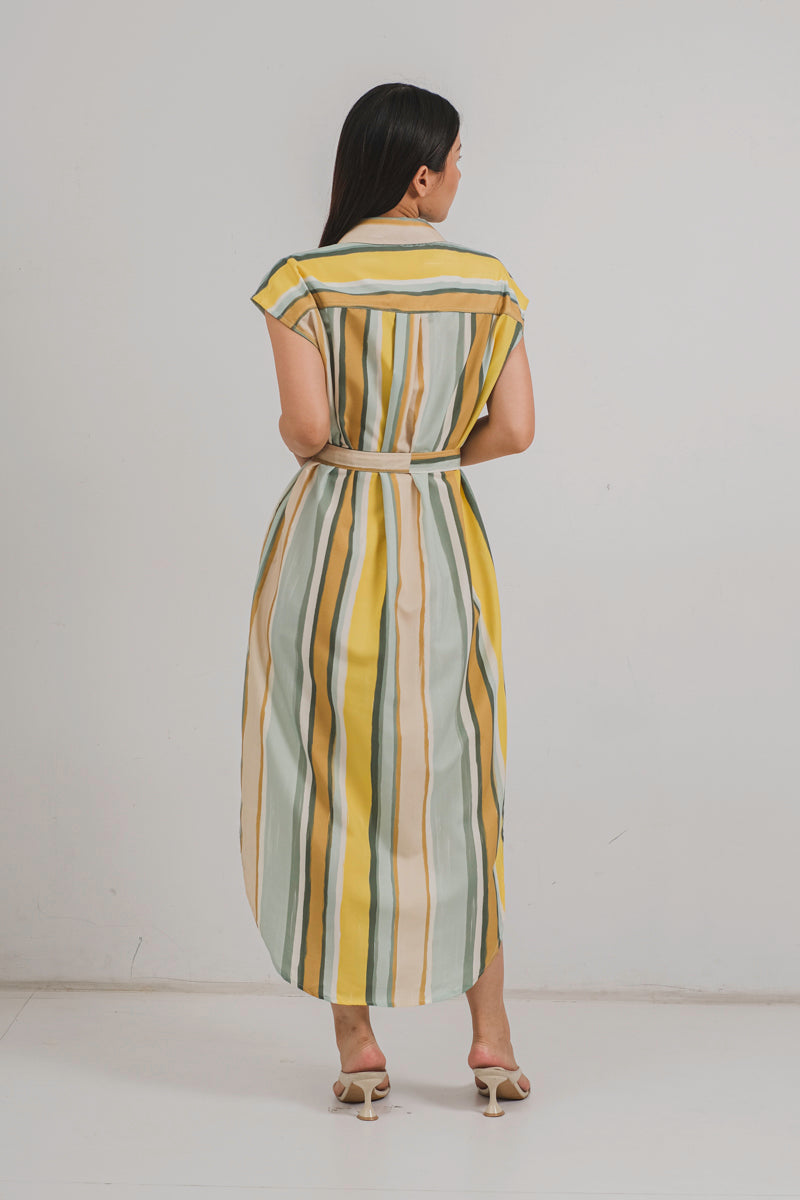 Mimosa Shirt Dress in Jaune