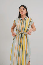Mimosa Shirt Dress in Jaune