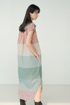 Mimosa Shirt Dress Martini